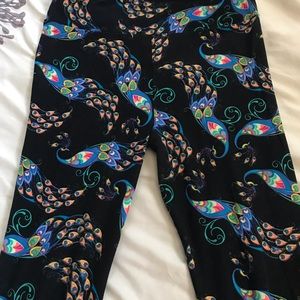 LulaRoe Leggings - Peacock Print - OS
